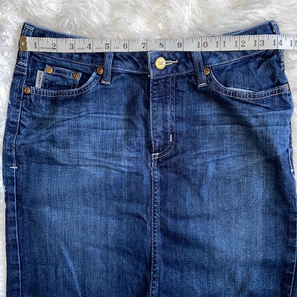Carhartt Denim Skirt Size 2 Original Fit - Picture 8 of 11
